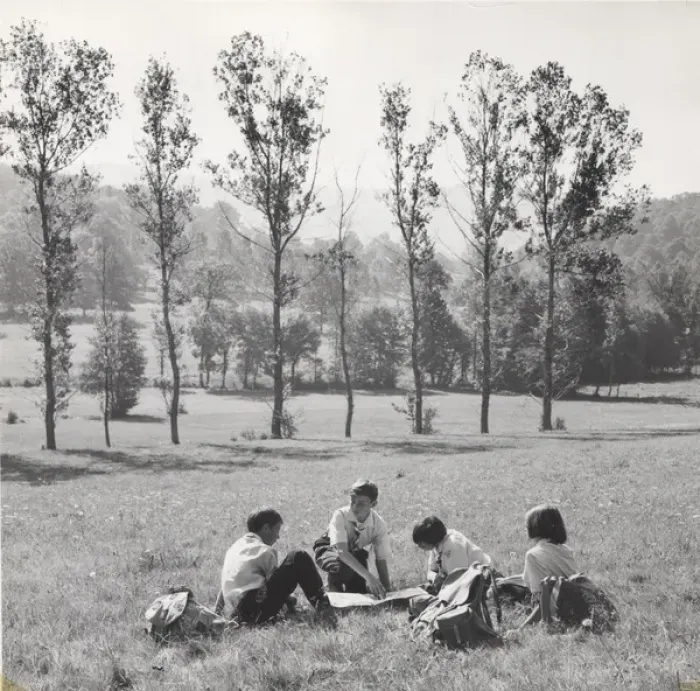Framed Print : French cub scouts, three boys and a girl, in a field Framed Print : French cub scouts, three boys and a girl, in a field