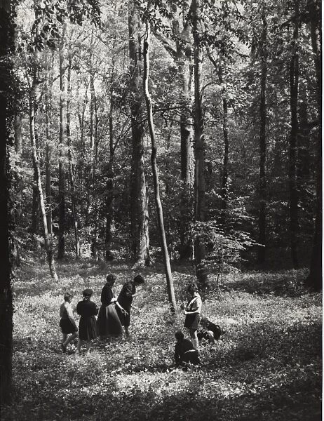 French cub scouts, boys and girls, in a wood