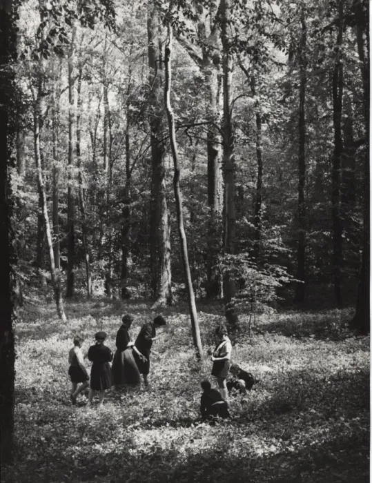 Framed Print : French cub scouts, boys and girls, in a wood Framed Print : French cub scouts, boys and girls, in a wood