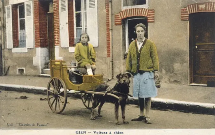 Framed Print : French Dog Cart Framed Print : French Dog Cart