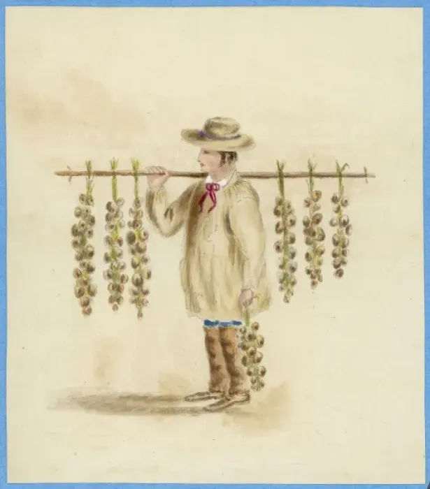 Framed Print : French Garlic Seller Framed Print : French Garlic Seller