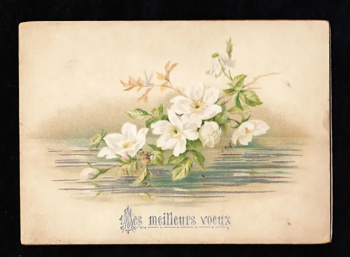 Framed Print : French greetings card with white flowers Framed Print : French greetings card with white flowers