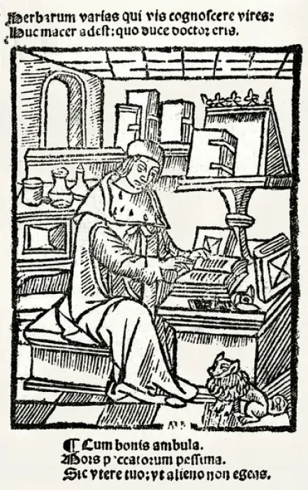 Framed Print : French Herbalist Marcus Floridus Framed Print : French Herbalist Marcus Floridus