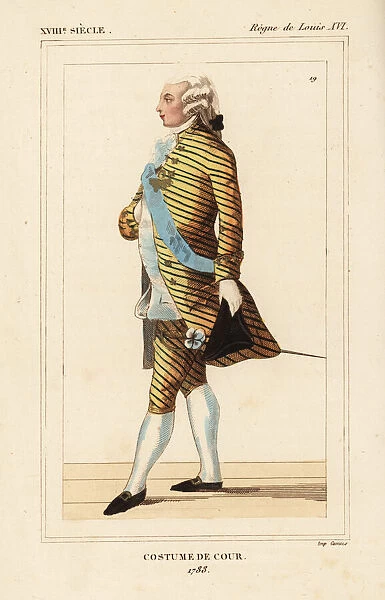 French man in court costume, 1788, court of King Louis XVI