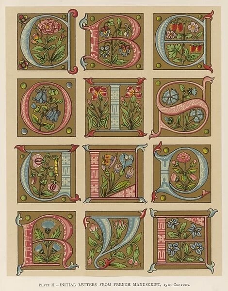 French Ms Letters
