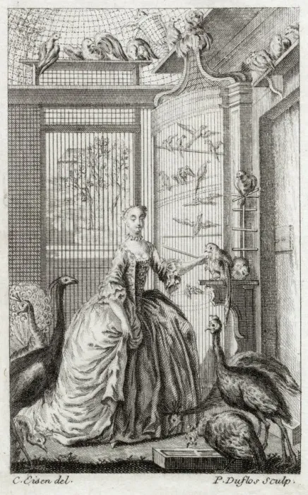 Framed Print : A French noblewoman among her feathered friends Date: early 18th century Framed Print : A French noblewoman among her feathered friends Date: early 18th century