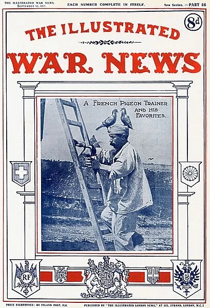 French Pigeon Trainer, Illustrated War News, WW1