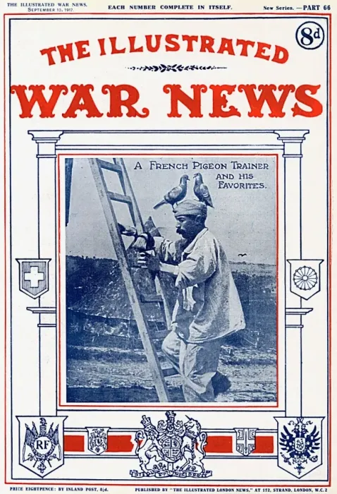 Framed Print : French Pigeon Trainer, Illustrated War News, WW1 Framed Print : French Pigeon Trainer, Illustrated War News, WW1