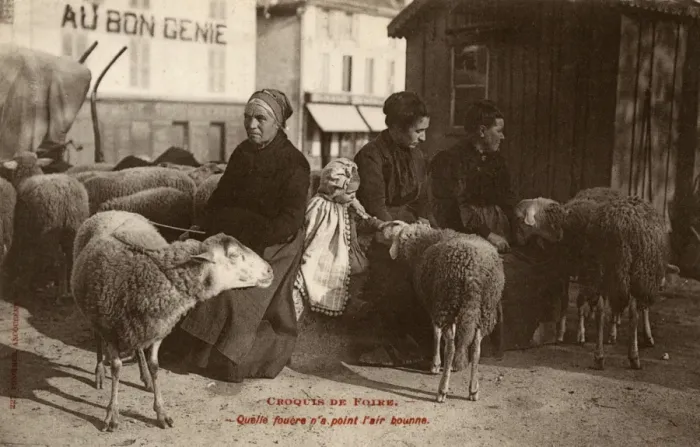Framed Print : French Sheperdesses and their Sheep Framed Print : French Sheperdesses and their Sheep