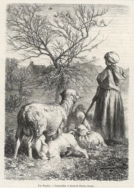 French Shepherdess