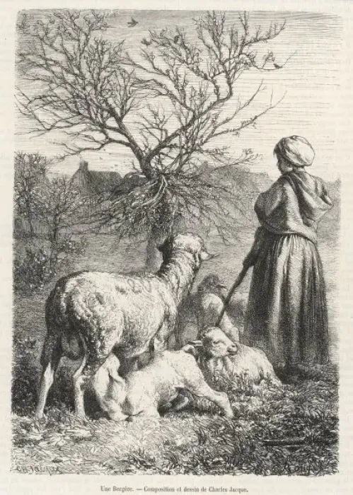 Framed Print : French Shepherdess Framed Print : French Shepherdess