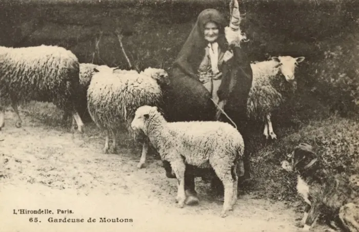 Framed Print : French Shepherdess with flock and dog Framed Print : French Shepherdess with flock and dog