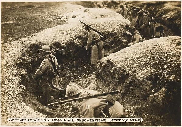 French trenches WWI