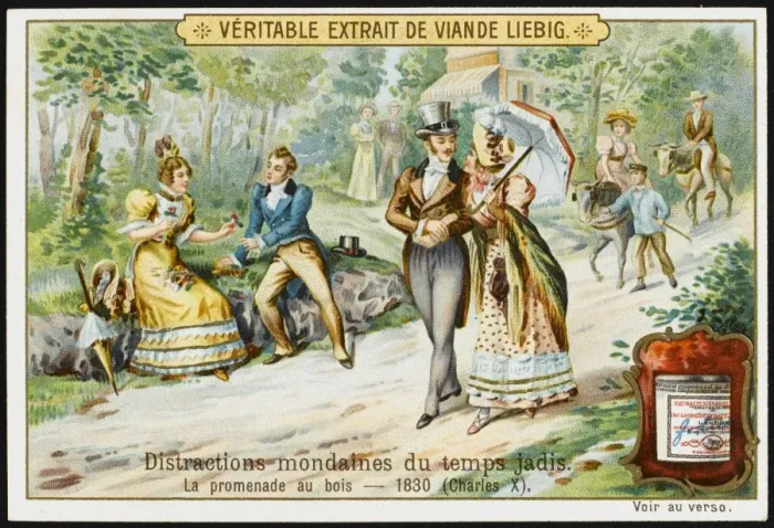 Framed Print : French Walk in Woods Framed Print : French Walk in Woods