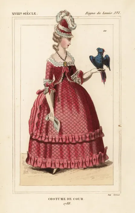 Framed Print : French woman in court costume with parrot Framed Print : French woman in court costume with parrot