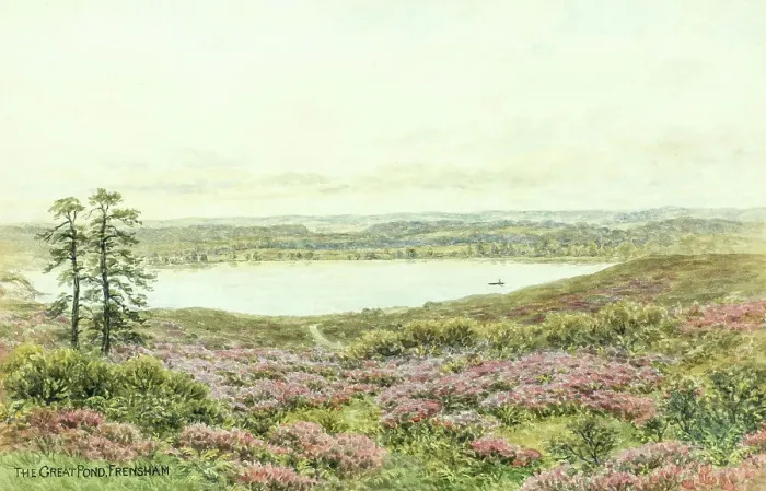 Framed Print : Frensham Pond, Surrey Framed Print : Frensham Pond, Surrey
