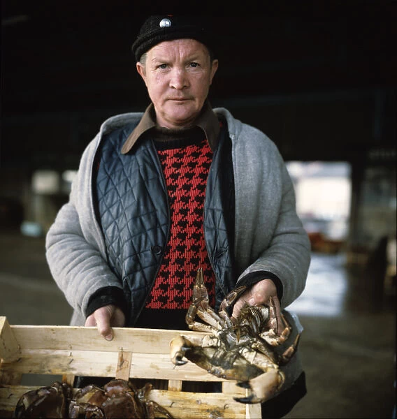 Fresh Crabs. Hartlepool Quay 1970s