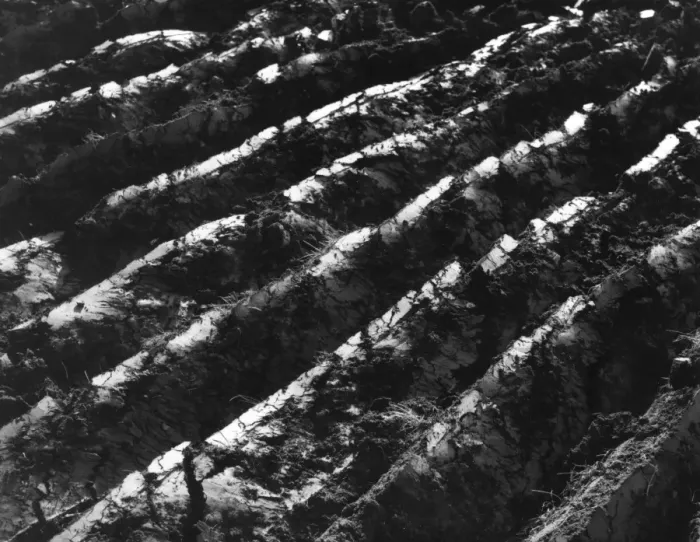 Framed Print : Fresh Furrows Framed Print : Fresh Furrows