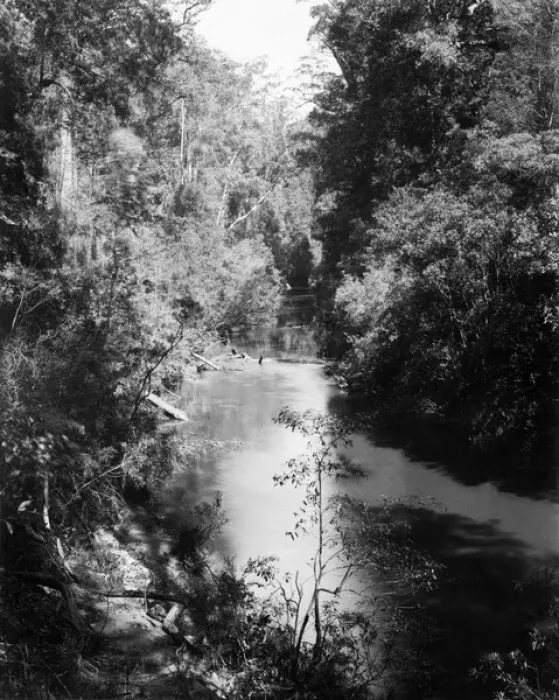Framed Print : Freshwater River, National Park, Australia Framed Print : Freshwater River, National Park, Australia