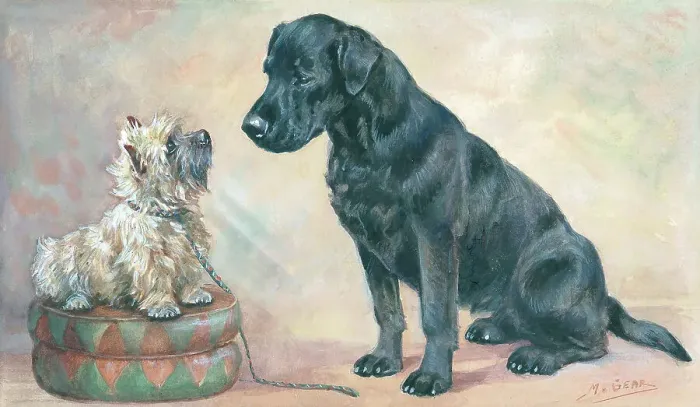 Framed Print : Friendly Relations Framed Print : Friendly Relations