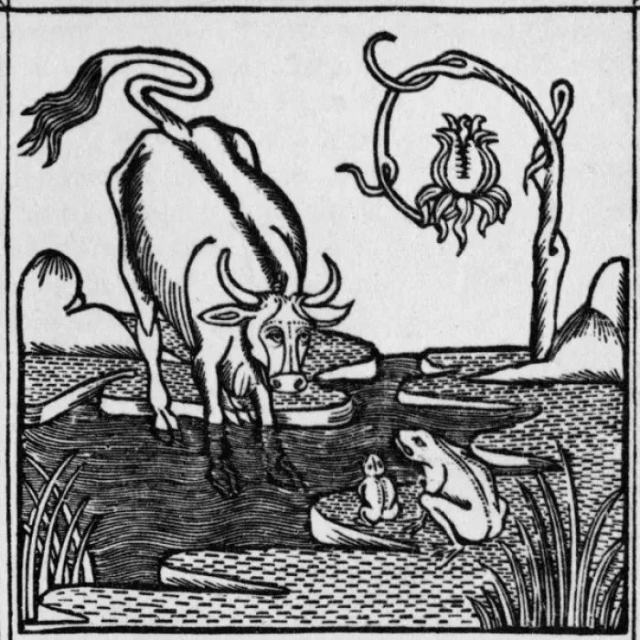 Framed Print : The frog & the bull Framed Print : The frog & the bull