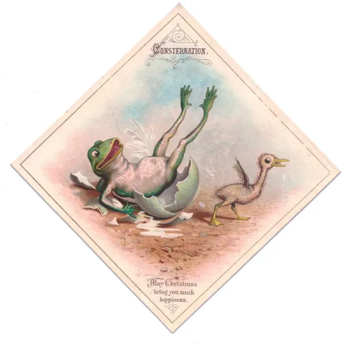 Framed Print : Frog and duckling on a Christmas card Framed Print : Frog and duckling on a Christmas card