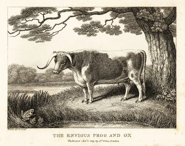 Framed Print : A frog inflates itself to become a big as a cow Framed Print : A frog inflates itself to become a big as a cow