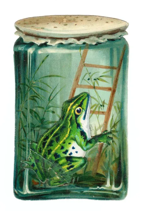 Framed Print : Frog in a jar on a cutout greetings card Framed Print : Frog in a jar on a cutout greetings card