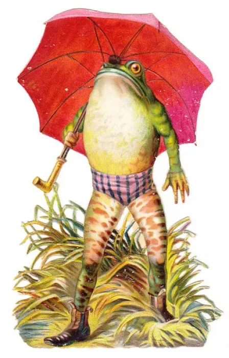 Framed Print : Frog with red umbrella on a cutout greetings card Framed Print : Frog with red umbrella on a cutout greetings card
