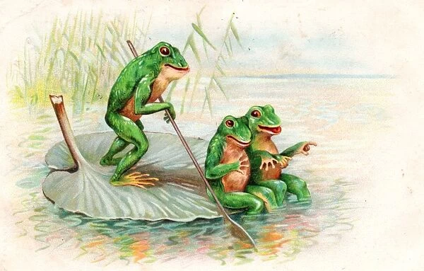 frogs-boating-lily-leaf-postcard-14358125.jpg.webp