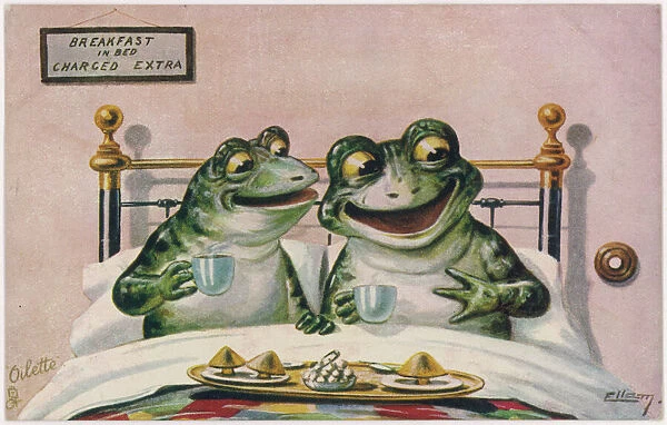 Frogs  /  Breakfast in Bed