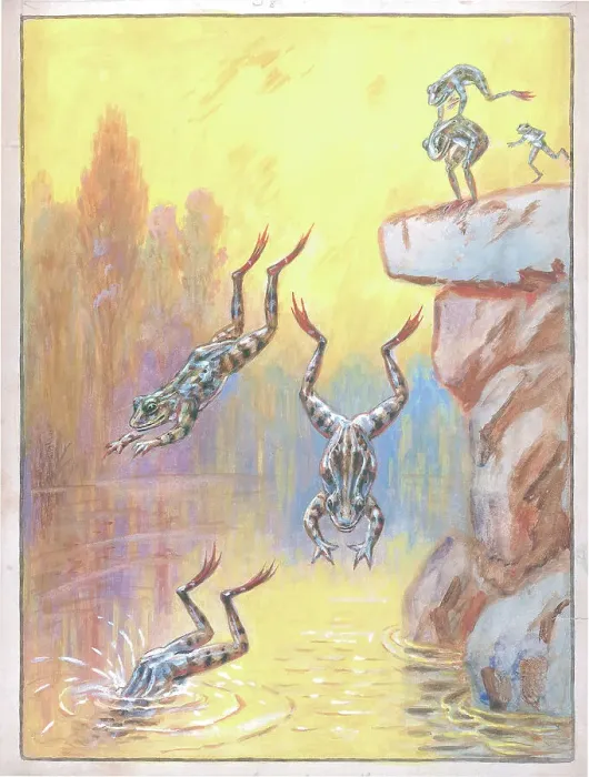 Framed Print : Frogs diving into water Framed Print : Frogs diving into water
