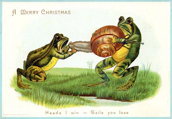 Two frogs fighting over a snail on a Christmas card