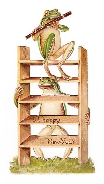 Two frogs with flute and ladder on a New Year card