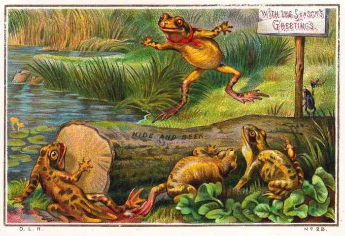 Framed Print : Frogs playing hide and seek on a Christmas card Framed Print : Frogs playing hide and seek on a Christmas card