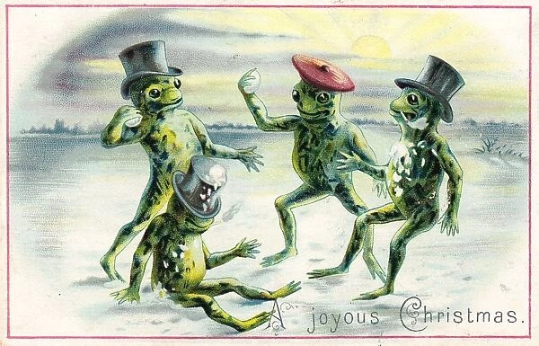 Four frogs snowballing on a Christmas card