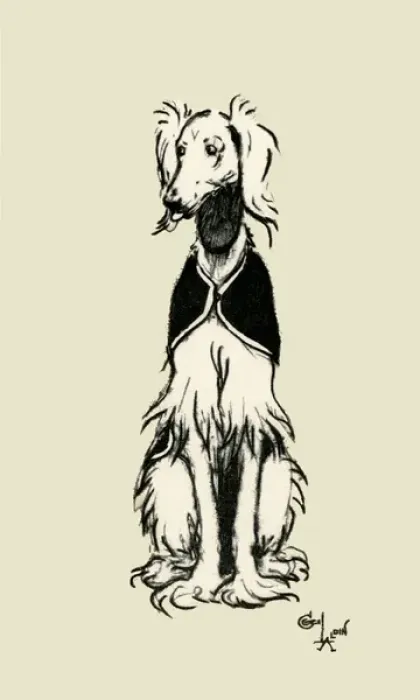 Framed Print : Frontispiece illustration by Cecil Aldin, an Afghan Hound Framed Print : Frontispiece illustration by Cecil Aldin, an Afghan Hound