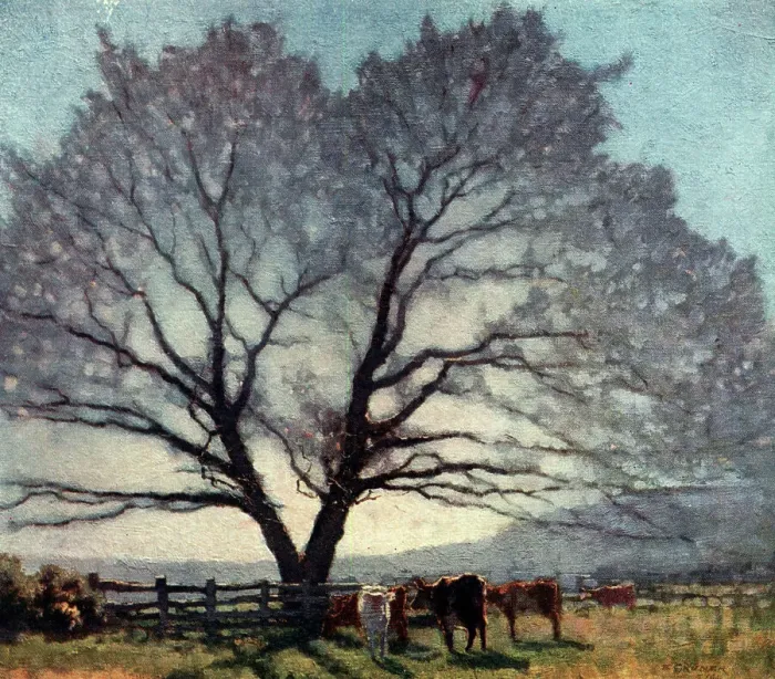 Framed Print : Frosty Morning Framed Print : Frosty Morning