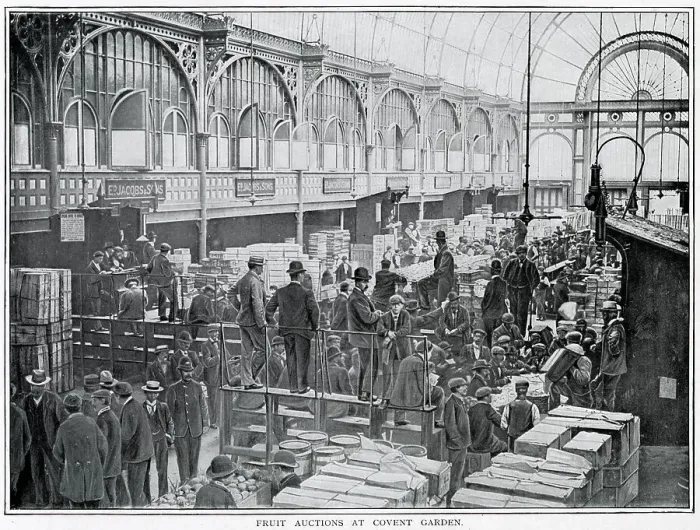 Framed Print : Fruit auctions at Covent Garden 1900 Framed Print : Fruit auctions at Covent Garden 1900