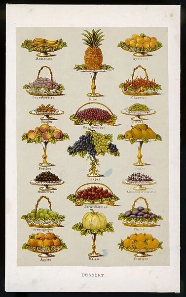 Fruit Desserts (1890)