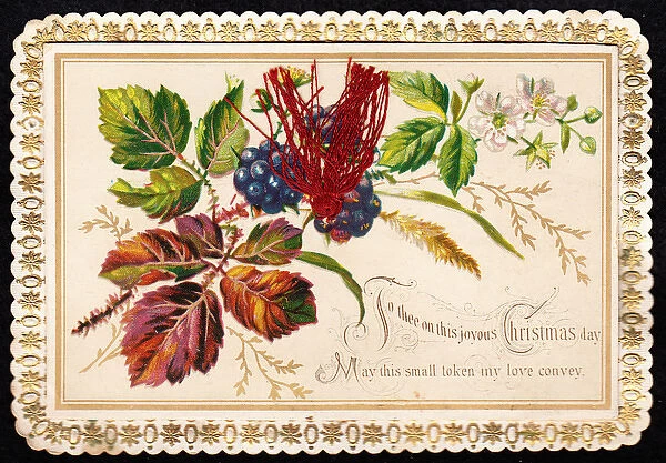 Fruit and flowers on a Christmas card