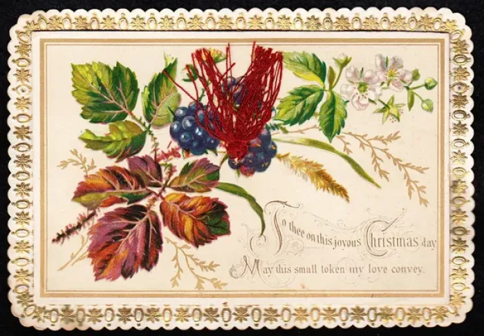 Framed Print : Fruit and flowers on a Christmas card Framed Print : Fruit and flowers on a Christmas card