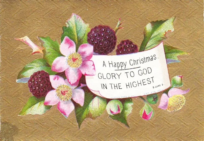 Framed Print : Fruit and flowers on a Christmas card Framed Print : Fruit and flowers on a Christmas card