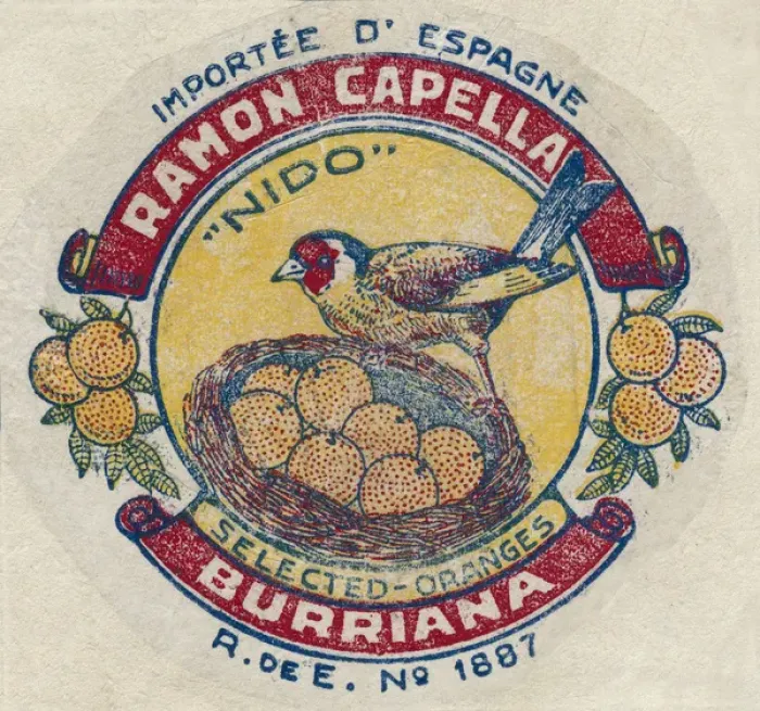 Framed Print : Fruit Label -- Spanish oranges Framed Print : Fruit Label -- Spanish oranges