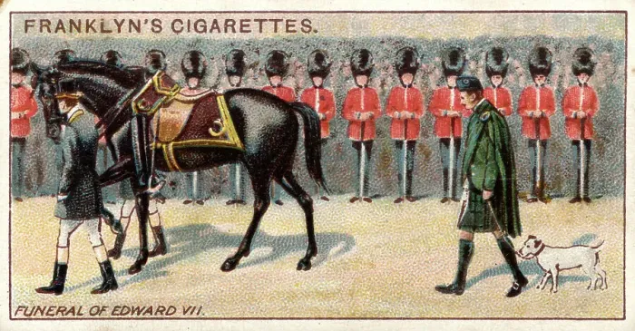Framed Print : Funeral of Edward VII, with favourite dog Framed Print : Funeral of Edward VII, with favourite dog