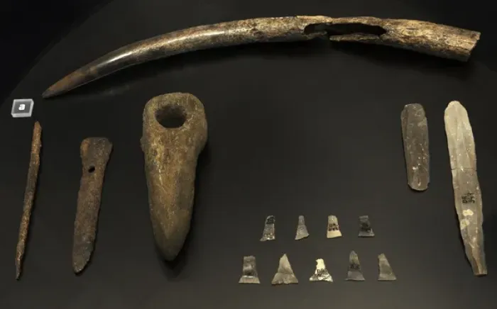 Framed Print : Funerary trappings of a mans grave at Dragsholm. 3800 BC Framed Print : Funerary trappings of a mans grave at Dragsholm. 3800 BC