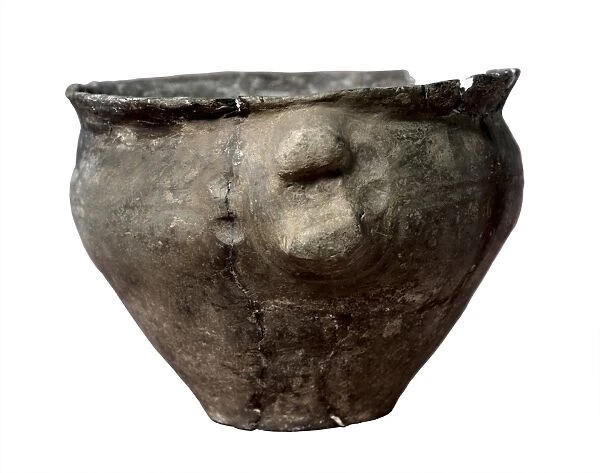 Funerary Urn. 1100-900 BC. The Urnfield culture