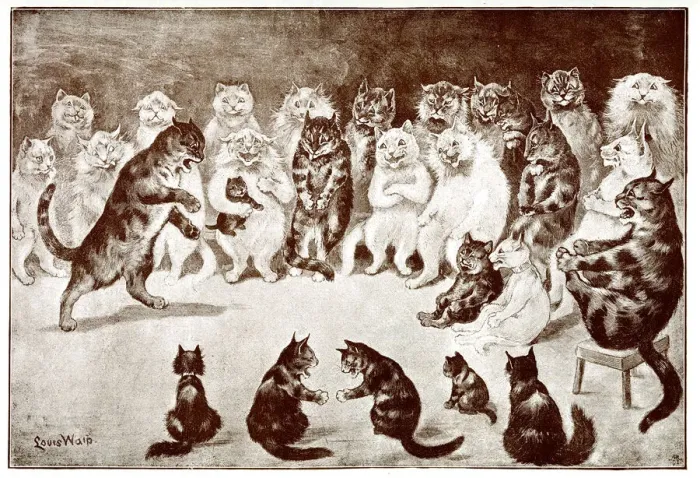 Framed Print : A Funny Story, Comical Cats Framed Print : A Funny Story, Comical Cats
