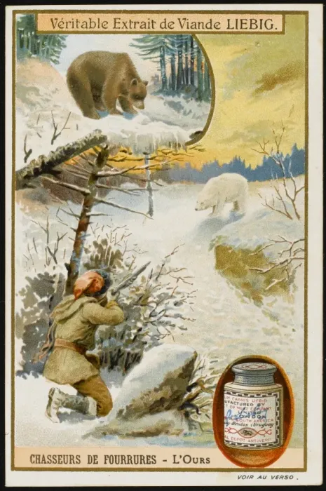 Framed Print : Fur - Bear Hunting Framed Print : Fur - Bear Hunting