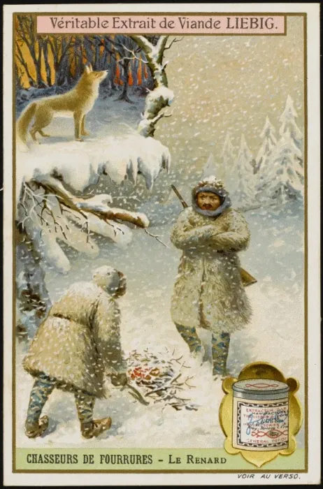 Framed Print : Fur Hunting - Fox Framed Print : Fur Hunting - Fox